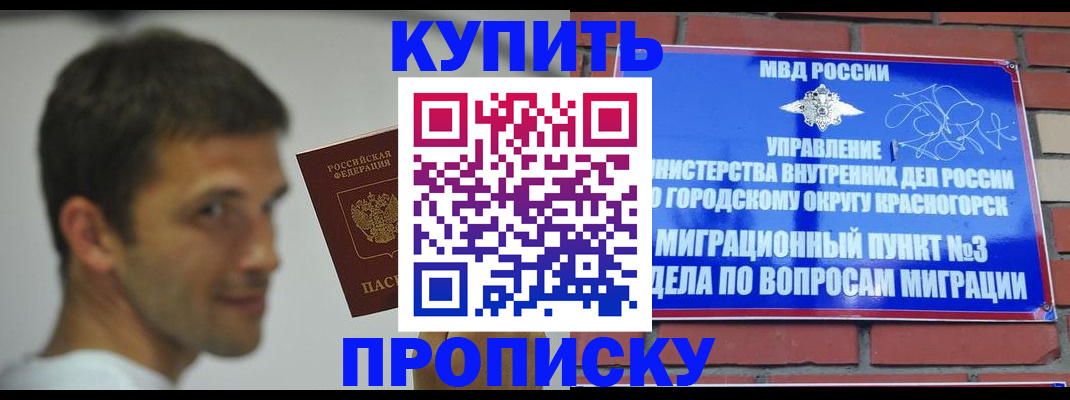 временная регистрация 2025 в Тереке