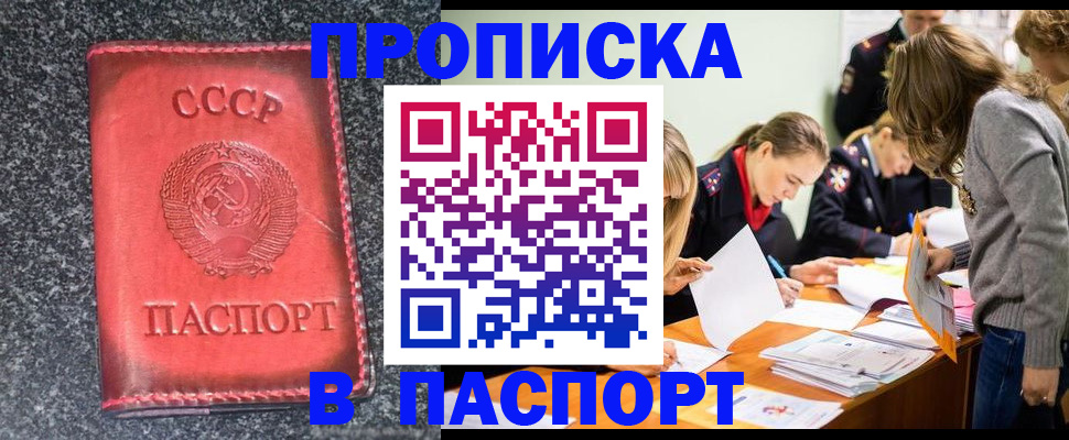 прописка для школы в Тереке